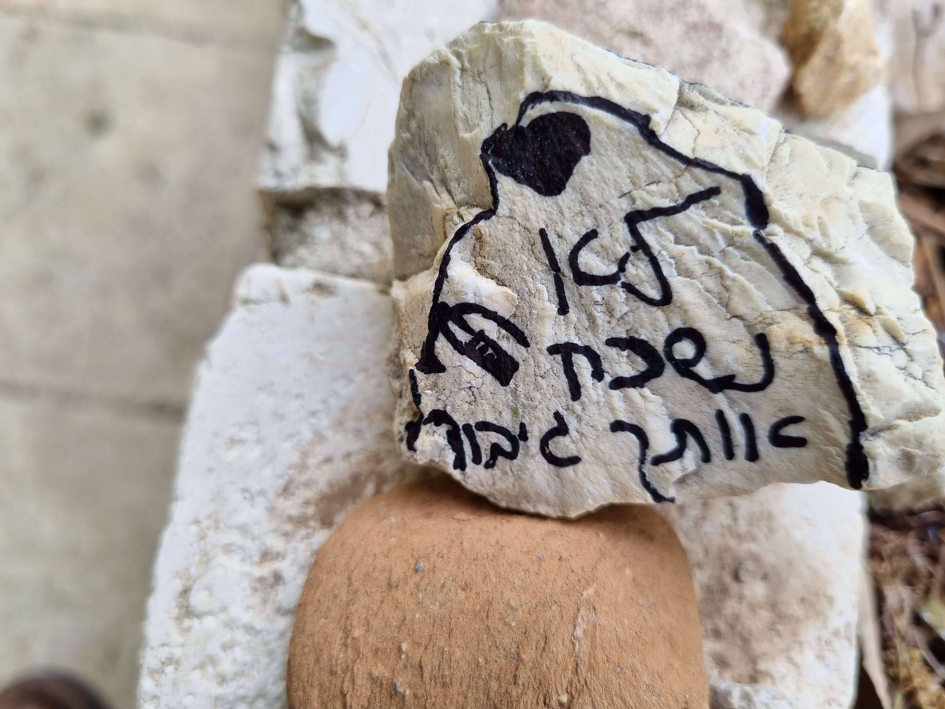 הבית של רונן